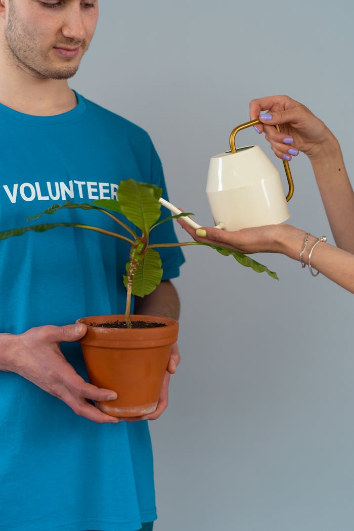 portfolio-03 A volunteer in a blue shirt holds a potted plant while another hand pours water from a kettle.